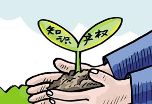 专利申请